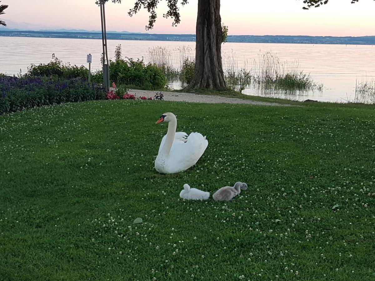 Malvelyns Am Bodensee インメンシュタート・アム・ボーデンゼー エクステリア 写真
